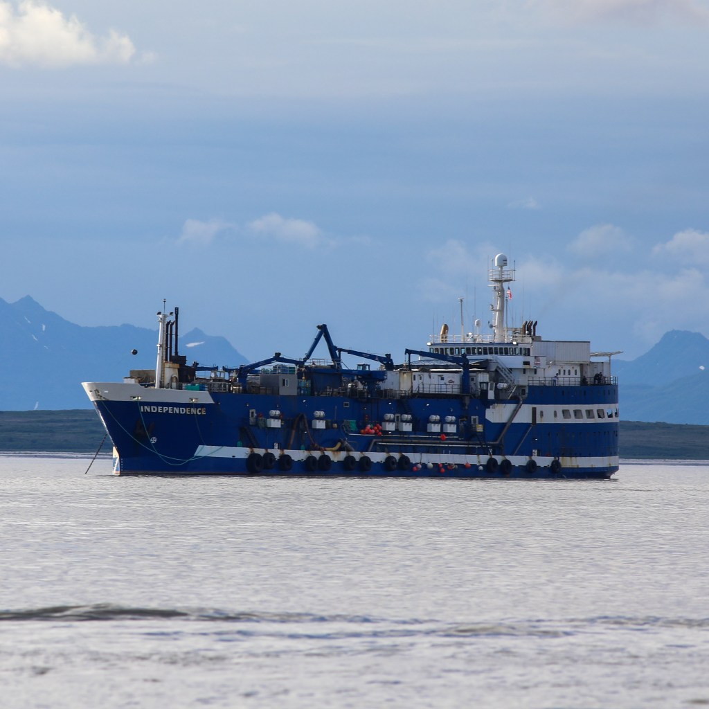 Jumping ship, before getting on: A brief encounter with the underbelly of the fishing&nbsp;industry