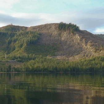 Authoritarian environmentalists and democratic&nbsp;pillagers?