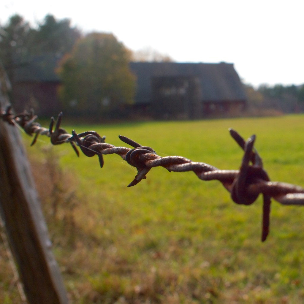 Farms, Forests and Old Mills: A photo essay of my&nbsp;hometown