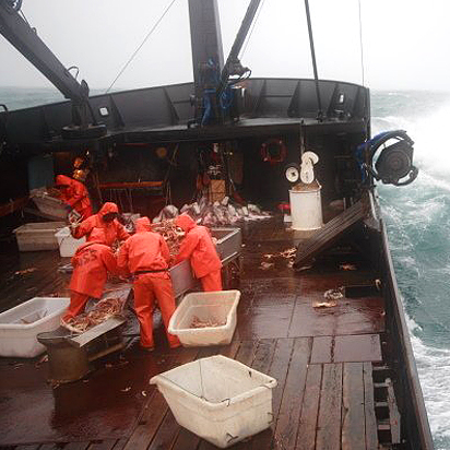 Salon: “Deadliest catch”? Not even in the top&nbsp;three