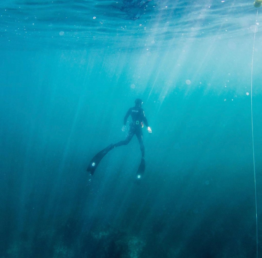 San Francisco Chronicle: Diving into climate change on the Northern California&nbsp;coast