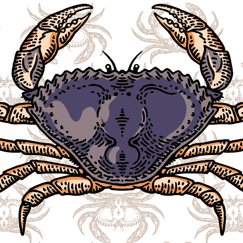 National Fisherman: California crab fishermen fight to save fishery after three-year spike in whale&nbsp;entanglements