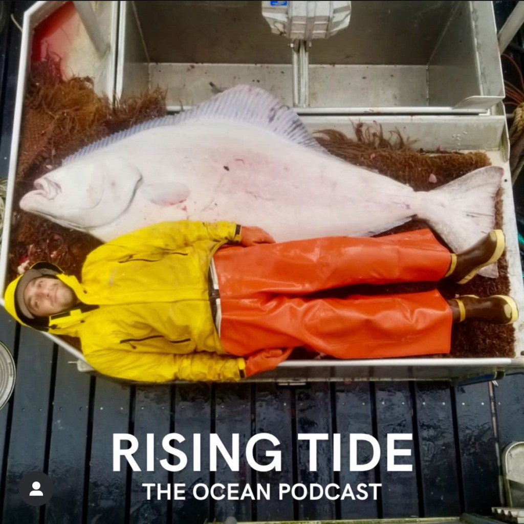 Rising Tide podcast: Nick Rahaim – Fishing with Whales in&nbsp;Alaska
