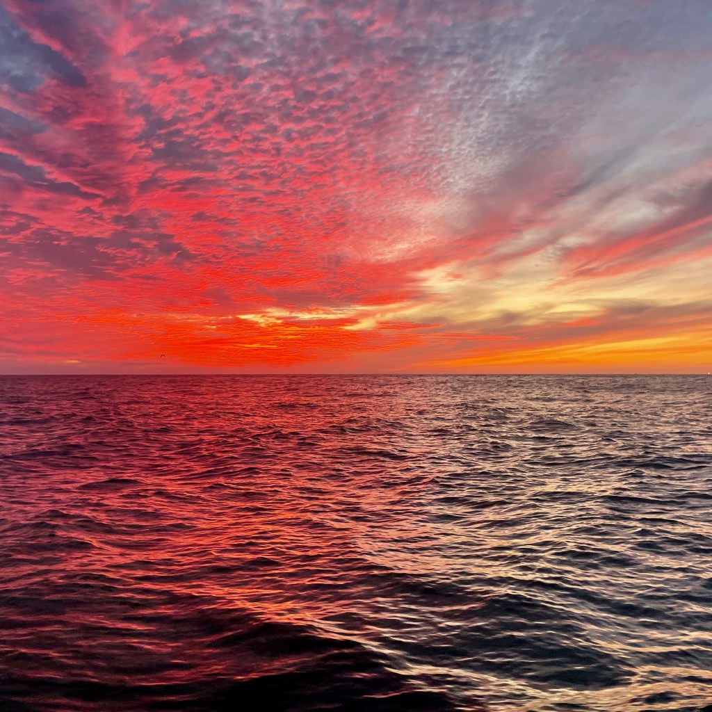 Rewild Magazine: Finding peace on a perilous&nbsp;sea